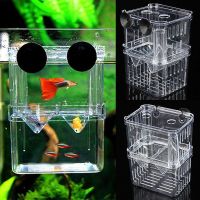 Aquarium Acrylic Fish Tank Breeding Isolation Box Fighting Mini Incubator Holder Transparent Box Aquarium Accessories