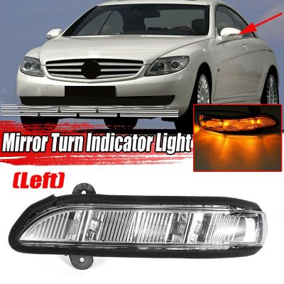 Car Door Mirror Turn Signal Light for Mercedes W211 W221 W219 2007-2011 E320 E350 E550 E63 2198200621