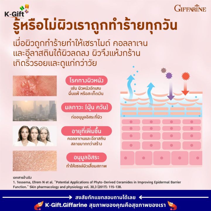 วีท-เซราไมด์-พลัส-กิฟฟารีน-อาหารเสริม-สุขภาพ-ผิวแห้ง-มอยเจอไรเซอร์-คอลลาเจน-วิตามินผิว-อาหารเสริมเพื่อผิวสวย-collagen-wheat-ceramide-plus-giffarine