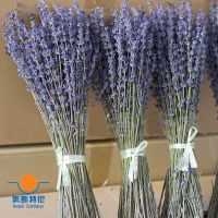 【cw】 200g dried natural flower bouquets bouquet lavender Bunches ！