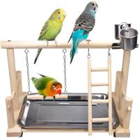 DFVDSPW Conure นกเลิฟเบิร์ดส์ฝึกสัตว์เลี้ยงแบบโต้ตอบพร้อมถ้วยป้อนอาหารนกแก้วสนามเด็กเล่นชิงช้าบันไดสำหรับปีนขาตั้งไม้ขอนนก