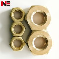 ☏ M10 M12 M14 M16 M18 M20 M22 M24 Brass Screw Cap Copper Hexagon Hex Nut