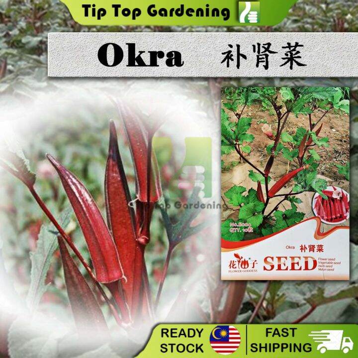 【EXPIRED】BIJI BENIH E004 OKRA FLOWER GODDESS VEGETABLE FLOWER FRUIT ...