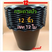 กระถางบัวสีดำ 12 นิ้ว เซท 12 ใบ กระถางบัวพลาสติกสีดำ ขนาดปากกว้างวัดจากสินค้าจริงวัดขอบนอก ได้ 11 นิ้วกว่า# ตามรูป