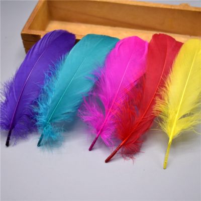 Wholesale Feathers for Crafts 5-7inch/12-18cm Decoration Pheasant Feather Plumas
