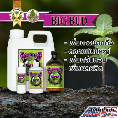 [ Big Bud ] by Advanced Nutrients I ปุ๋ยเร่งดอกใหญ่ ปุ๋ยเพิ่มน้ำหนักดอกและผลผลิต (ขวดแบ่ง) ปุ๋ยนำเข้าแท้ USA 100%