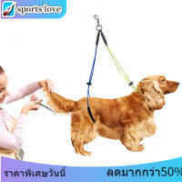 สายจูงสัตว์เลี้ยงแบบปรับได้สำหรับโต๊ะกรูมมิ่งสัตว์เลี้ยง Pet Grooming Loop