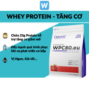 Thực Phẩm Bổ Sung Tăng Cơ Ostrovit WPC80.eu Whey Protein Concentrate 2.27kg