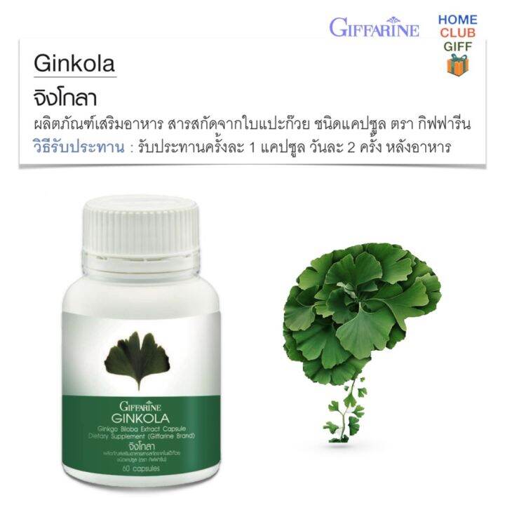 กิฟฟารีน-ใบแปะก๊วยสกัด-จิงโกะ-ginko-biloba-ความจำสมอง-อาหารเสริม-60-แคปซูล