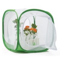 Collapsible Insect Mesh Cage Terrarium Pop Up Plant Insect Net Light-transmitting Mantis Feeding Butterfly Stick Net