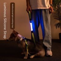 Pet Luminous Collar Dog Pet Collar Flashing LED Safety Light Up Led Pet Multi-function Traction Rope Collar Personalized