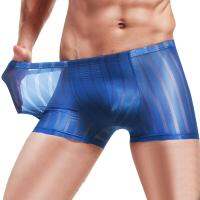 【CW】 Thin Silk Perspective Boxers Pants Men  39;s Breathable Men Underpants Seamless Ropa Interior Hombre