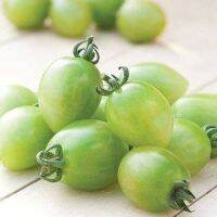 50 เมล็ดพันธุ์ มะเขือเทศ ผลสีเขียว Green Tomato Seeds มีคู่มือพร้อมปลูก อัตรางอก 80-85%