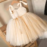 Baby Girl Tulle Dress Princess Party Tutu Fluffy Dress Flower Wedding Champagne Gown Children Clothing Kids Clothes Vestidos  by Hs2023