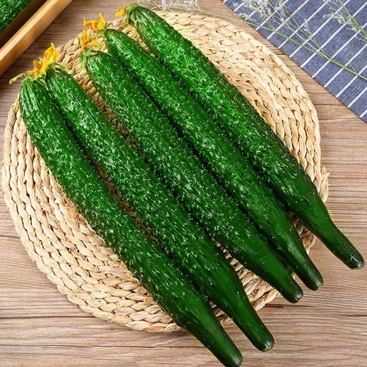 Japan Cucumber Seedjapanese Cucumber Seeds Lazada Ph 5148