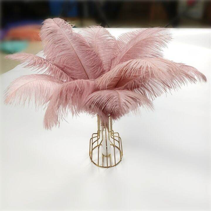 10pcs-lot-colorful-ostrich-feather-centerpieces-for-wedding-table-handicraft-accessories-dream-catcher-plume-carnival-decoration