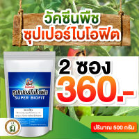 โรคพืช ป้องกันและกำจัดเชื้อรา โรคพริก ระบาดหน้าร้อน วัคซีนพืชซุปเปอร์ไบโอฟิต พืชแข็งแรง มีภูมิคุ้มกัน ทนโรคทนแมลง ชีวภาพ ปลอดภัย