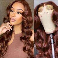 【LZ】▽▬✆  Dark highlight Transparent Lace Frontal Human Hair Wigs 13x4 360 13x6