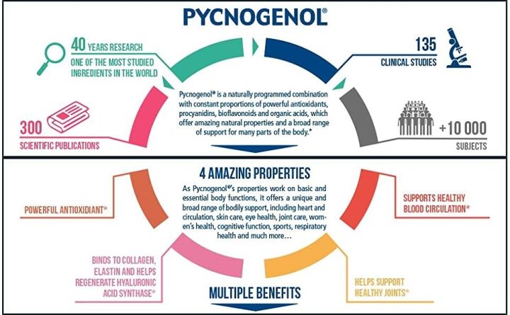 เปลือกสนฝรั่งเศสสกัด-pycnogenol-100-mg-60-tablets-source-naturals