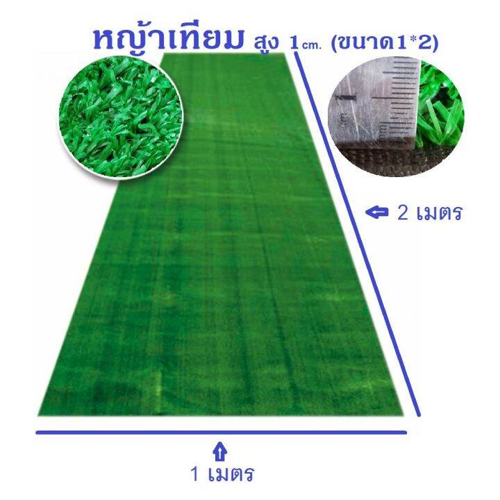 โปรพิเศษ-หญ้าเทียม-ความสูงหญ้า1-2cm-จำหน่ายเป็นตารางเมตร-ราคาถูก-หญ้า-หญ้าเทียม-หญ้าเทียมปูพื้น-หญ้ารูซี-หญ้าแต่งสวน-แต่งพื้น-cafe-แต่งร้าน-สวย-ถ่ายรุป