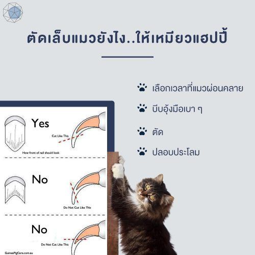 กรรไกรตัดเล็บแมว-gp01-กรรไกรตัดเล็บสุนัข-pet-nail-clipper-ที่ตัดเล็บสุนัข-แมว-ที่ตะไบ