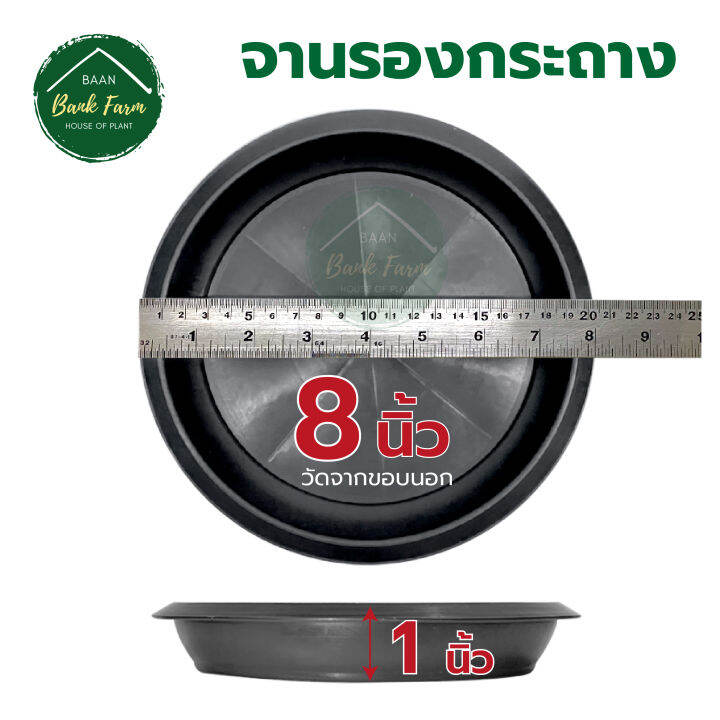 จานรองกระถาง8-นิ้ว-สีดำ-1-10ใบ-จานรองกระถางราคาถูก-จานรองกระถางพลาสติก-จานรองต้นไม้-l-บ้านแบงค์ฟาร์ม