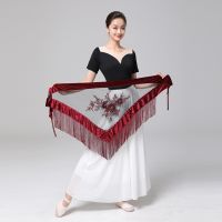 ❀○☇ Tassel Belly Dance Waist Scarf Hip Scarf Stage Tribal Waist Chain Retro Belly Dance Waist Scarf Classical Embroidery Performance Waist Chain