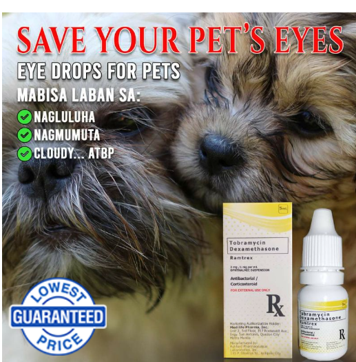 RAMTREX Tobramycin + Dexamethasone Eye Drops for Pets Dogs Cats Birds