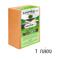 Ampro 18