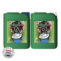 5 ลิตร ปุ๋ยหลักทำใบ เร่งโต A+B ที่ดีที่สุดจากเนเธอร์แลนด์ สำหรับดิน ปุ๋ยดัตช์โปร Soil Grow A+B