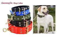 ปลอกคอสุนัข ปลอกคอไนล่อน ปลอกคอสัตว์เลี้ยง 5 ขนาดให้เลือก / Dog Collar Nylon Collar Pet Collar 5 Sizes