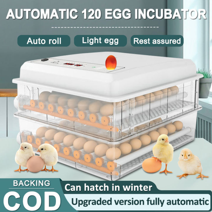 220V 120 Eggs Incubator Digital Automatic Egg Incubator Fully Automatic ...