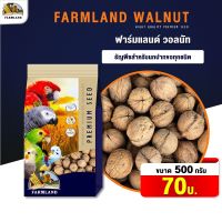 FarmLand Walnut ถั่ววอลนัท สำหรับนก ( 500 g )