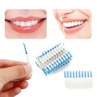 120 Brush Flossing Toothpick Interdental Dental Head DualSF