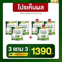 [ ขายดี 3แถม3 ] วีทกราส อัลฟาฟ่า พลัส Wheatgrass Alfalfa Plus by Yumiko 1 กระปุก 200 กรัม ปริมาณ 200,000mg. ถ่ายง่ายไม่ปวดบิด ช่วยระบบขับถ่ายดี