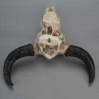 แขวนผนังตกแต่ง3D Shofare Horns Skull เครื่องประดับ Longhorn แกะวัว Skull Art Craft สัตว์ป่า Figurine Home Decor ฮาโลวีน