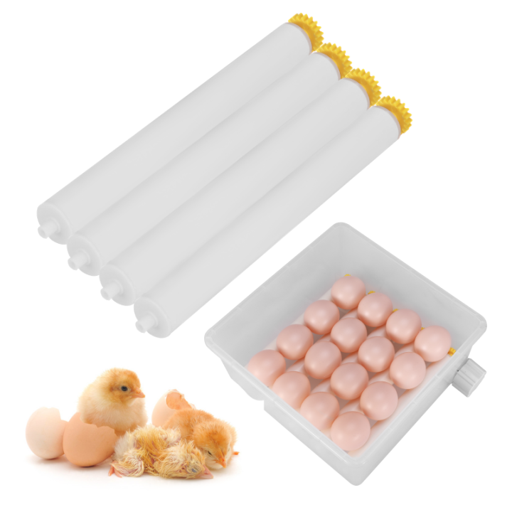 ส่งฟรีด่วน-ตู้ฟักไข่อัตโนมัติ-16-ฟอง-ตู้ฝักไข่ไก่-ตู้ฟักไข่ถูกๆ-เครื่องฟักไข่อัตโนมัติ-ไข่ไก่-เป็ด-นก