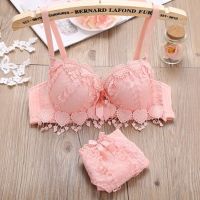 Women Underwear and y lingerien panty lette set