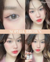 คอนแทคเลนส์ Mayalens รุ่น Sophia Brown (สีน้ำตาล) ขนาด14.5