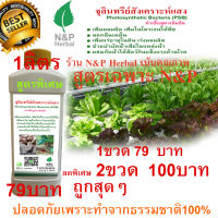 จุลินทรีย์สังเคราะห์แสง PSB