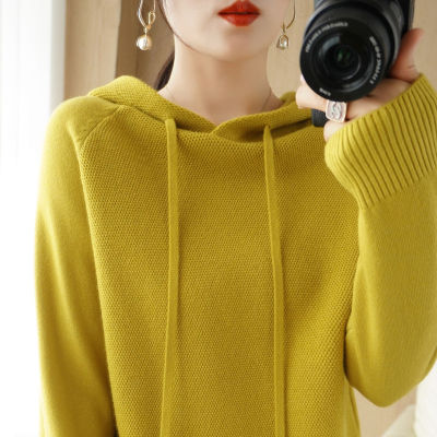 Quality 2023 Autumn Elegant Velvet Sweater Womens Knitted Pullover Thick Hooded Loose Womens Sweater 2023