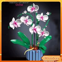 Orchid MOC Building Blocks Botanical Compatible Collection 2022 ผลิตภัณฑ์ใหม่ช่อดอกไม้ของเล่นของขวัญ