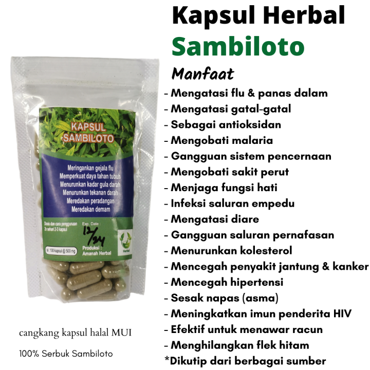 Kapsul Sambiloto Isi 100 Asli / Sambiloto Kapsul / Herbal Sambiloto ...