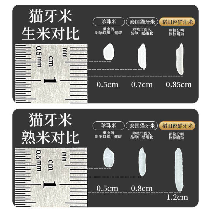 2022 New Rice Cat Tooth Rice Thailand Jasmine Fragrant Rice Super Long ...