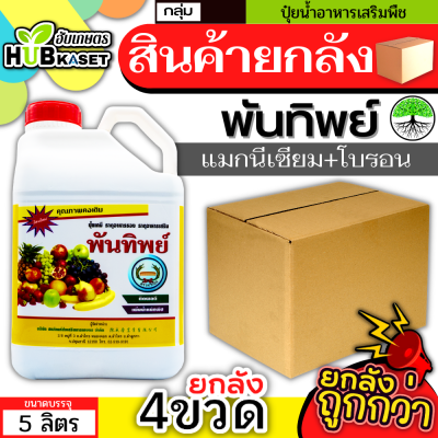 💥💥 สินค้ายกลัง 💥💥 พันทิพย์ 5ลิตร*4แกลลอน (แมกนีเซียม+โบรอน) เสริมสร้างให้รากและลำต้นเจริญเติบโตได้เร็วทันใจ