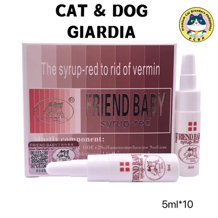 syrup red Giardia coccidia toxoplasma cats and dogs blood jelly stool