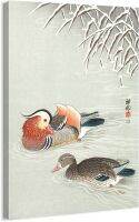 ผ้าใบศิลปะพิมพ์บนผนังศิลปะญี่ปุ่น Ukiyo-E เป็ดจีนแมนดารินโดย Ohara Koson ขนาด16X24นิ้ว