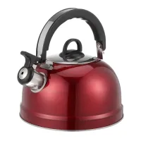 Chirping Kettle Camping Teapot Stainless Steel Water Household Heating Universal Boiling Teakettle Make Gas Stove