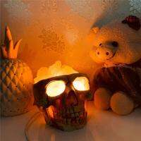 LED Table Lamp Skull Salt Stone Lamp Horror Ghost Head Shaped Night Light USB Indoor Lighting Household Lighting