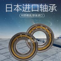 Japan imports NSK cylindrical roller bearings N203EM C3 N203EW C3